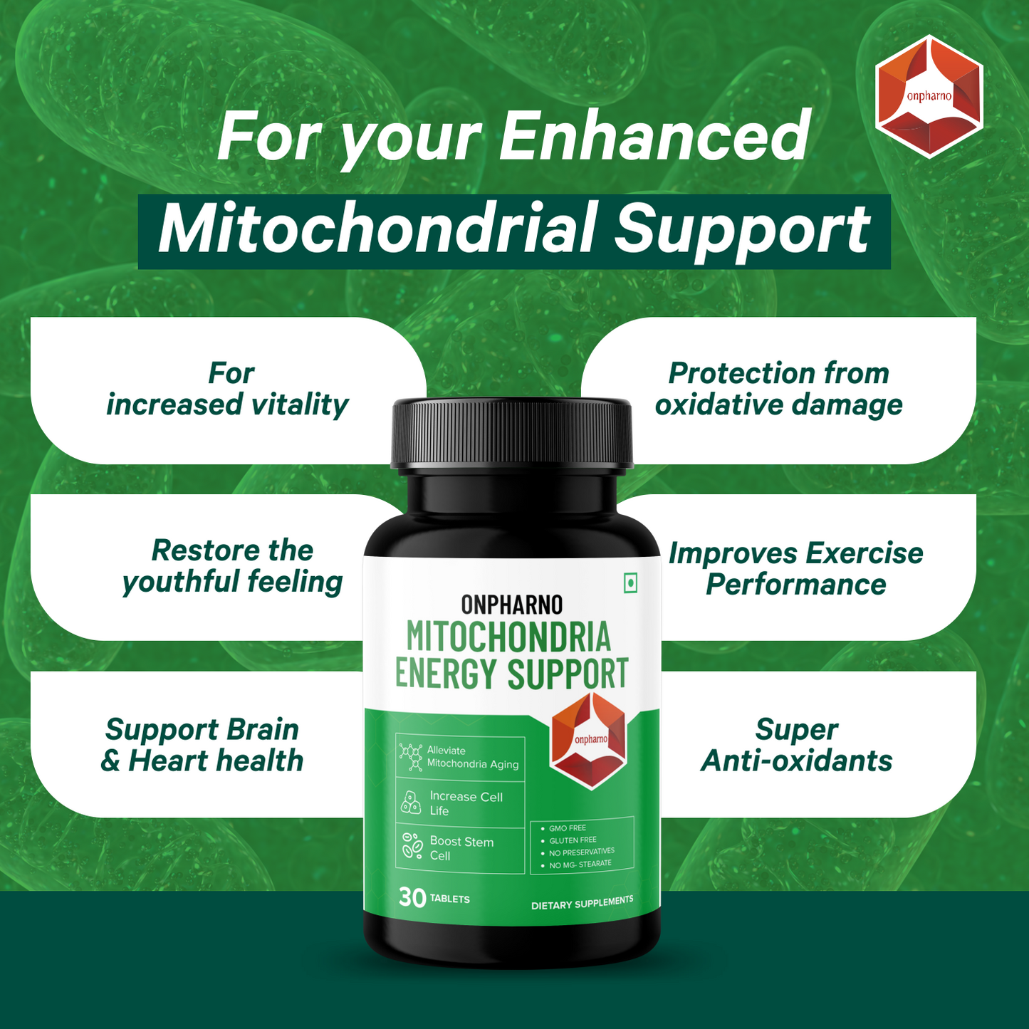 Mitocondria Energy Support and Brain and Memory Support Combo